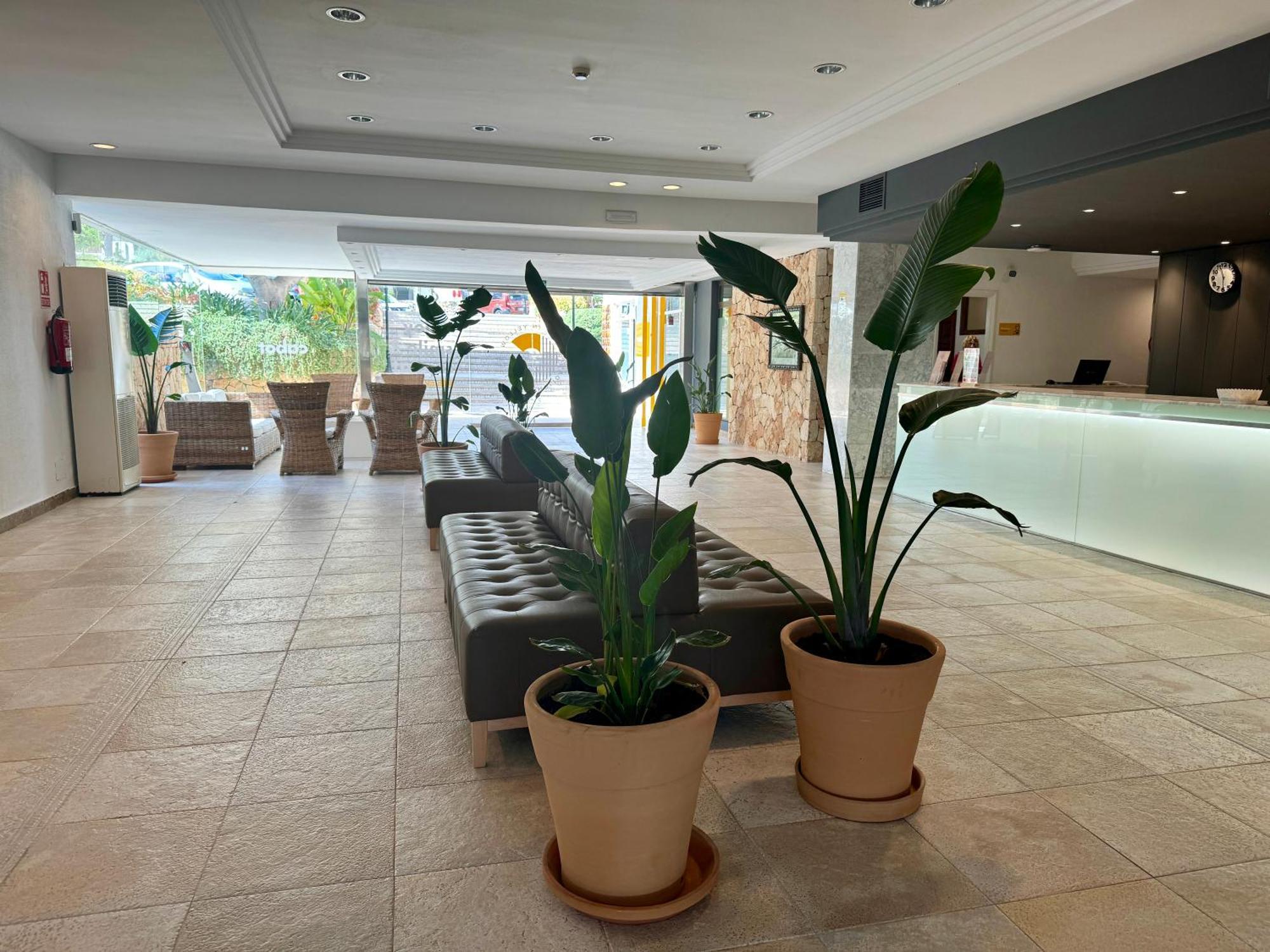Cabot Cala Ferrera Hotel Cala d'Or  Ngoại thất bức ảnh